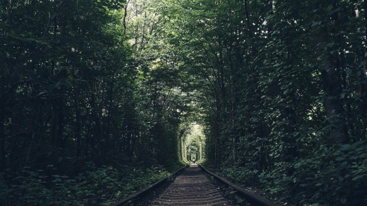 [FOTO] Jeste li čuli za Tunel ljubavi koji se nalazi u Ukrajini?