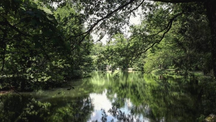 [FOTO] Oaza mira u jednom od naših najljepših parkova