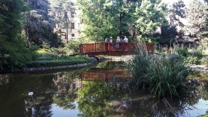 [FOTO] Oaza prirode u centru grada - naš najpoznatiji botanički vrt