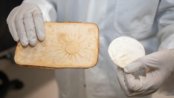 Bioinženjeringom gljiva nastao novi izolator građevina koji bi mogao promijeniti sve