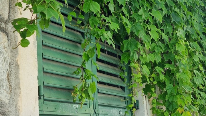 Dalmatinske škure: Spoj funkcionalnosti i tradicije koji je preživio stoljeća