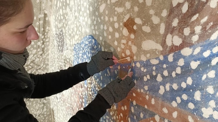 Restauratorica otkrila pojedinosti o struci: 'Stavovi se mijenjaju kako struka stari'