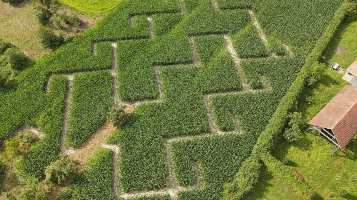 Kukuruzni labirint: Krajobrazna arhitektura u službi zabave i turizma