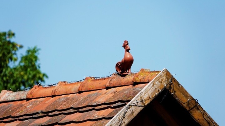 Glineni pijetao na krovu kuće puno više od samo ukrasa