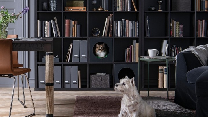 Od kreveta do kućice: Otkrijte kakav namještaj trebaju vaši kućni ljubimci