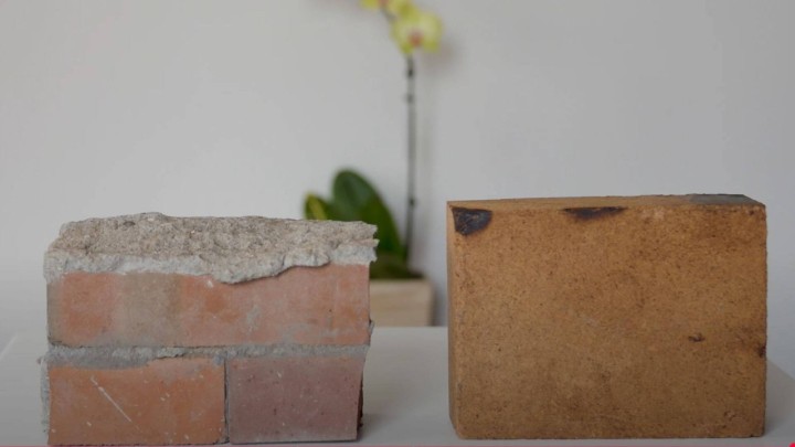 Građevina koja živi: Spoj biologije i inženjeringa mogao bi zamijeniti cement