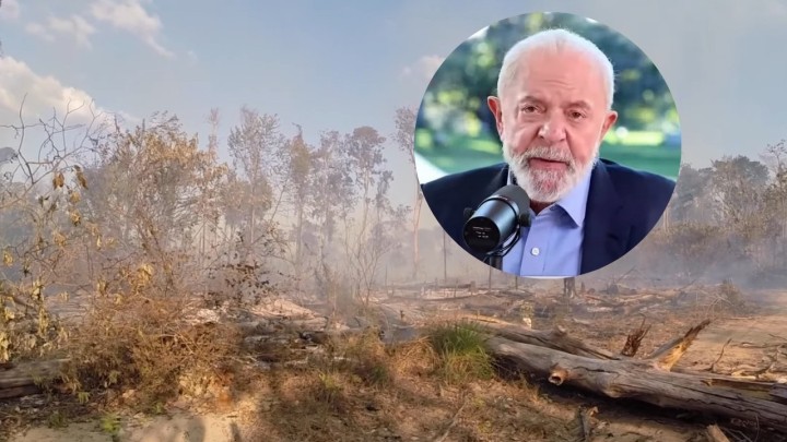 Ilegalnom sječom nestaju 'pluća Zemlje': Brazilski predsjednik pozvao na hitno djelovanje