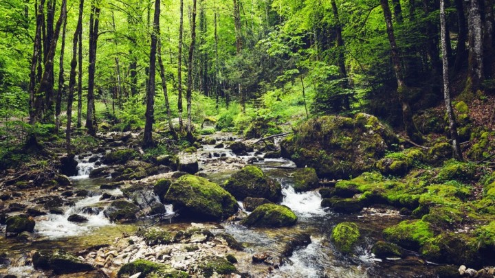 Četiri hrvatska i slovenska grada imaju projekt očuvanja prirodnih lokaliteta vrijedan 1,9 milijuna eura