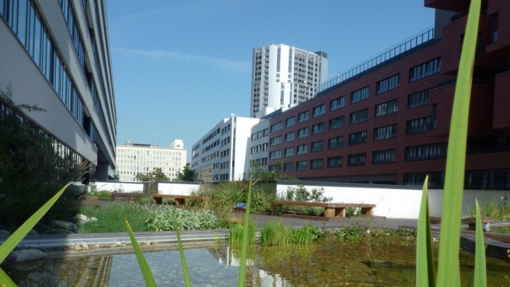 Austrijska prijestolnica pokreće nove projekte: Žele spriječiti da kišnica uzalud propada