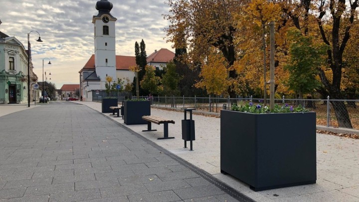 Koprivnica je hrvatska zelena oaza: U gradu je posađeno oko 3 tisuće stabala