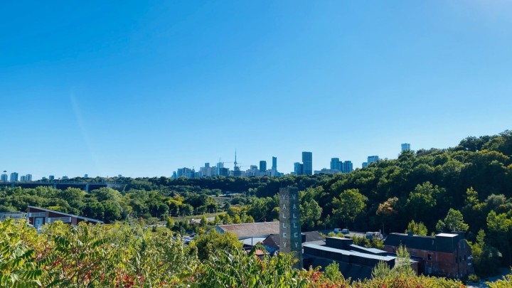 Imamo popis 10 gradova gdje ljudi najviše umiru zbog nedostatka zelenih površina