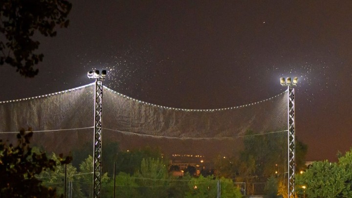 [FOTO] Devastacija bioraznolikosti na Jarunu zbog zamjene javne rasvjete
