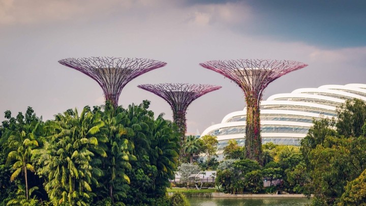 Jedinstveni botanički vrtovi koji daju novu dimenziju održivosti