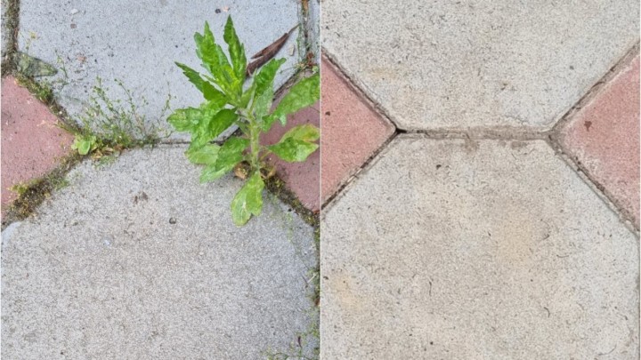 Čišćenje opločnjaka: Električni spaljivač korova, da ili ne?