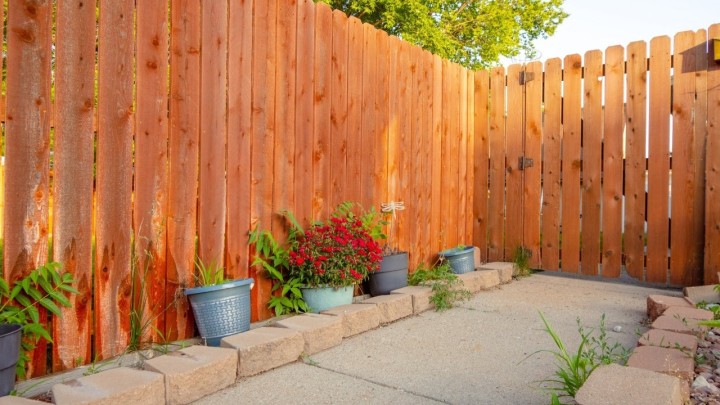 Ne znate kako biste riješili problem s neurednim vrtom? Evo kako spriječiti rast drača