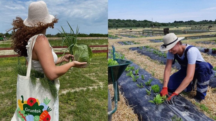 Gruntek - vrtovi budućnosti u kojima hrana raste na osnovu samo jednog klika