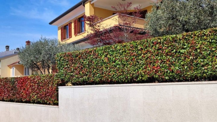 Vaša okućnica bit će zelena oaza iz bajke uz pomoć Artemisije