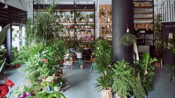 Đardin - cvjećarnica koju ćete poželjeti preseliti u svoj dom