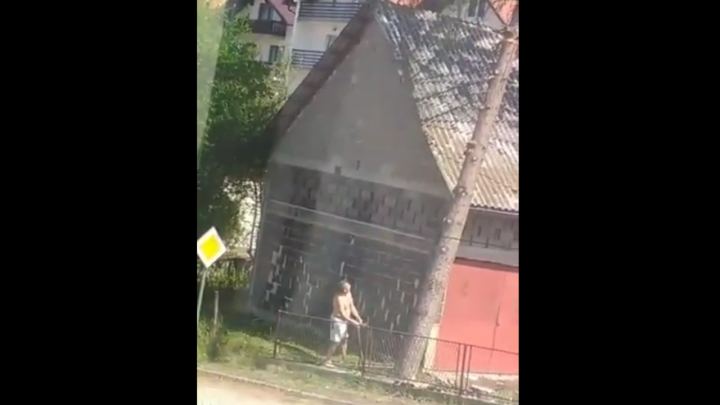 [VIDEO] Majstori motorne pile i fizike, pogledajte video kako se (ne)ruši stablo