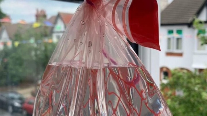 Trik kojeg su svi s nestrpljenjem iščekivali: Uz dvije sitnice zauvijek se riješite muha