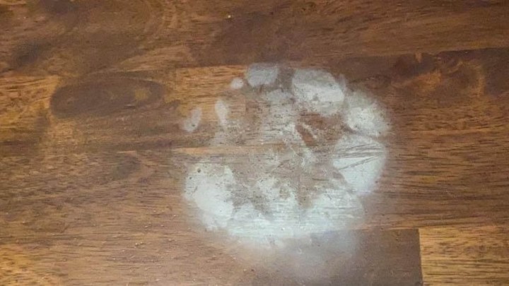 Jednostavni trikovi koje svatko treba znati: Uklanjanje oštećenja nastalog zbog vrućeg posuđa