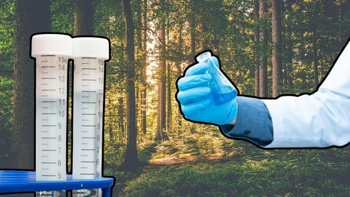 Što to niče u šumi pored Zagreba? Cifra oko 7 milijuna, jako je važno za 'našu' znanost