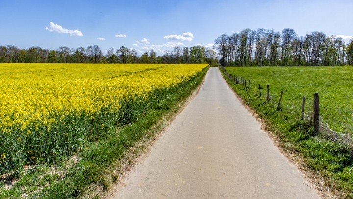 Slavonske županije akumulirale 99 milijuna eura, bauštela zadovoljno trlja ruke, bit će posla