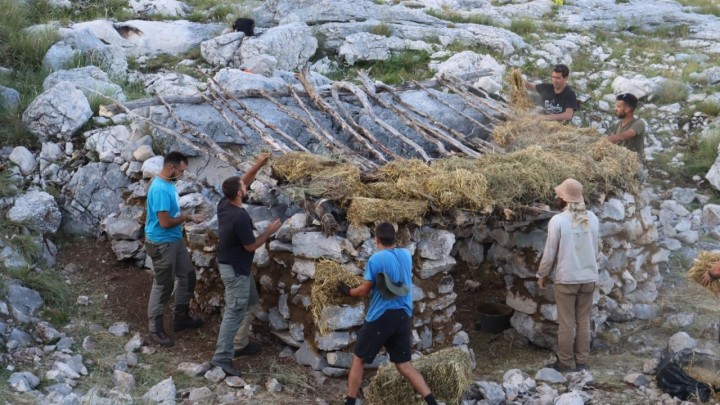 Zadarski studenti na 1.500 metara sagradili pastirsku kuću: Lomili su kamen i slagali u suhozid