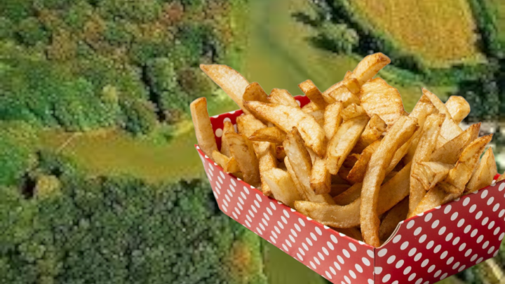 Na obroncima Bilogore gradi se tvornica pomfrita! Godišnje će proizvoditi 30.000 tona