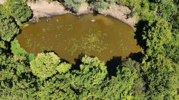 Zaboravljene vodene oaze Učke ponovno oživjele, evo zašto je to važno za cijelu Hrvatsku