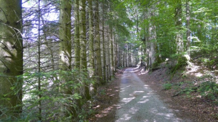 Kreće opsežna obnova povijesne staze u Nacionalnom parku: Uređuju se trase, mostovi, ograde i važan izvor