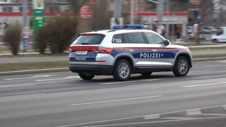 Stravična tragedija u Austriji: U šumskom odronu tla poginuo petogodišnjak