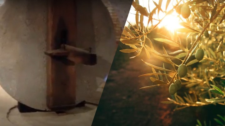 Okupili se arheolozi iz cijelog svijeta zbog velikog otkrića u Istri