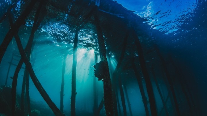 Arheolozi u podmorju Mljeta otkrili ulaz u antičku palaču poput Dioklecijanove