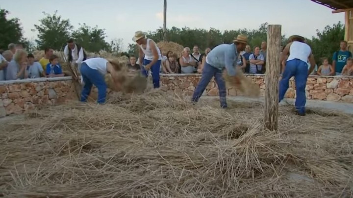 Gumno: Prostor na kojem se intenzivno radilo, ali i dobro zabavljalo
