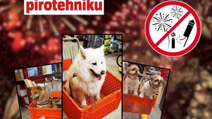 Bauhaus ove godine ukinuo prodaju pirotehnike: 'To stvara stres djeci i kućnim ljubimcima'