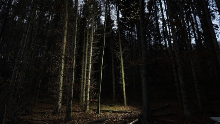 Sljemenska lokacija koja je postala zapamćena kao mjesto likvidacije Aleksandre Zec (12)