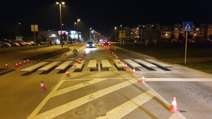 Hrvatski grad na inicijativu građana dobio svoju prvu 3D zebru