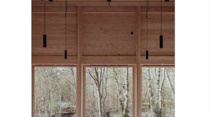 I to je moguće: Gotova izgradnja kuće napravljene od drva