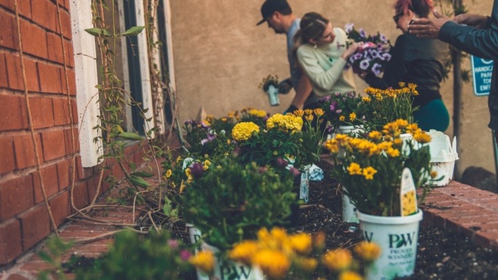 Drugo izdanje radionice Autonomnog kulturnog centra donosi sve o urbanoj hortikulturi: Evo kako sudjelovati