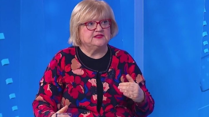 Bivša ministrica graditeljstva komentirala sporu obnovu: 'Paladina je kao lisica instalirana u kokošinjcu'