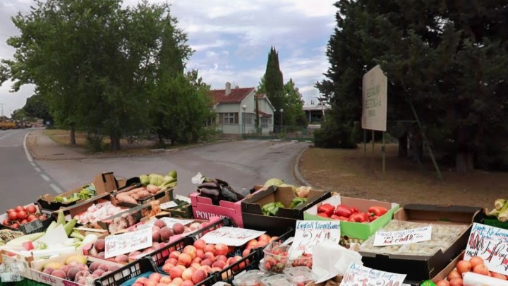 Preko 10 godina su u stečaju: Dalmatinska veletržnica ide na milijunsku prodaju