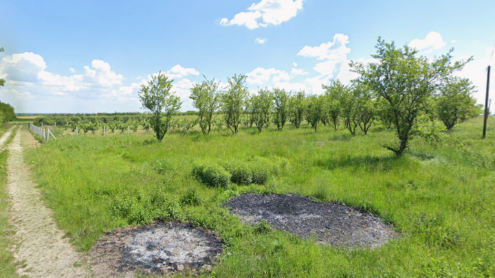 Nevjerojatna kvadratura slavonskog voćnjaka je na prodaji: U priči je i sin ministra