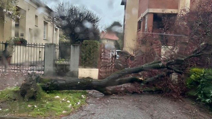 Velika šteta od vjetra: Stradalo više od 100 zgrada, letjele skele i krovovi, ne voze tramvaji i vlakovi