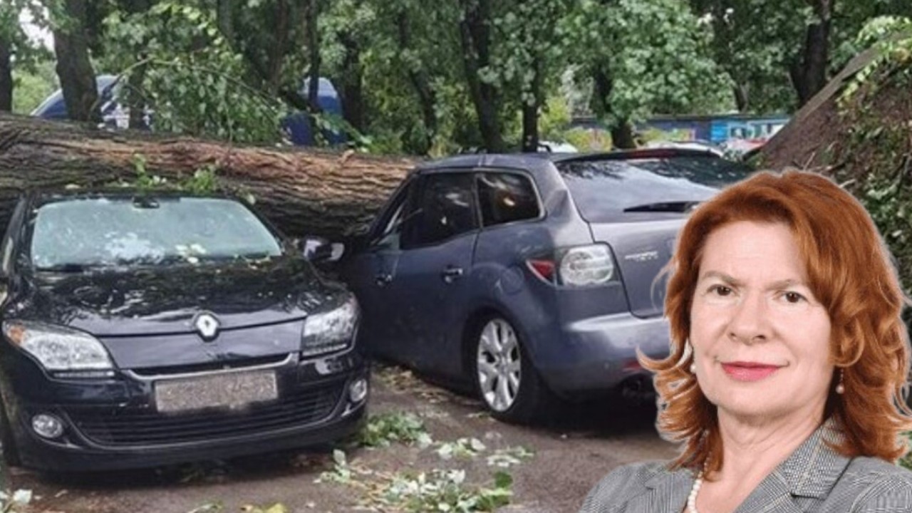 Oluja pokosila imovinu građana: Kako se ostvaruje pravo na odštetu uslijed pada stabla