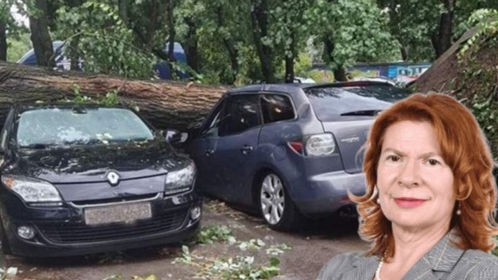 Oluja pokosila imovinu građana: Kako se ostvaruje pravo na odštetu uslijed pada stabla