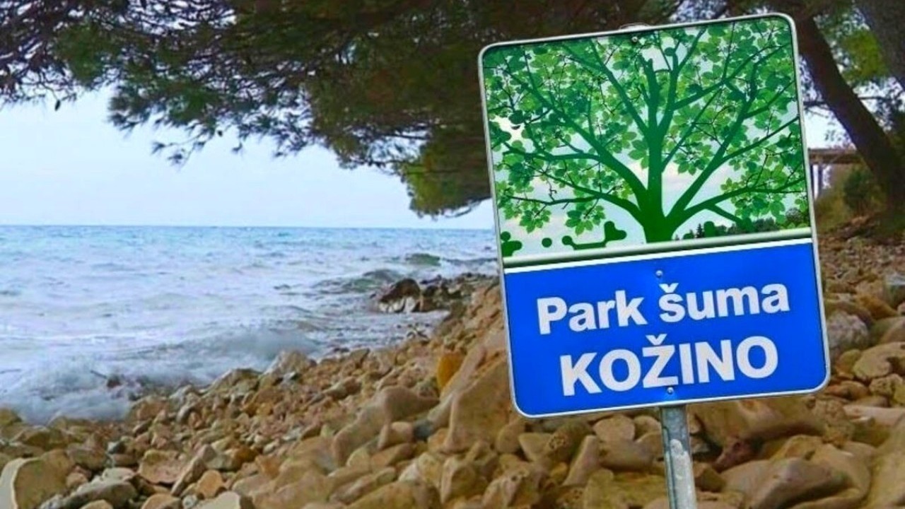 Bitka za zadnju borovu oazu kod Zadra: Šest hektara na raskrižju planova, građani se bore za zaštitu