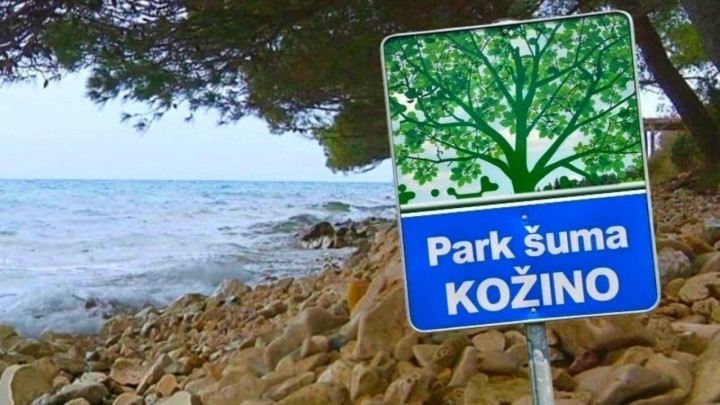 Bitka za zadnju borovu oazu kod Zadra: Šest hektara na raskrižju planova, građani se bore za zaštitu