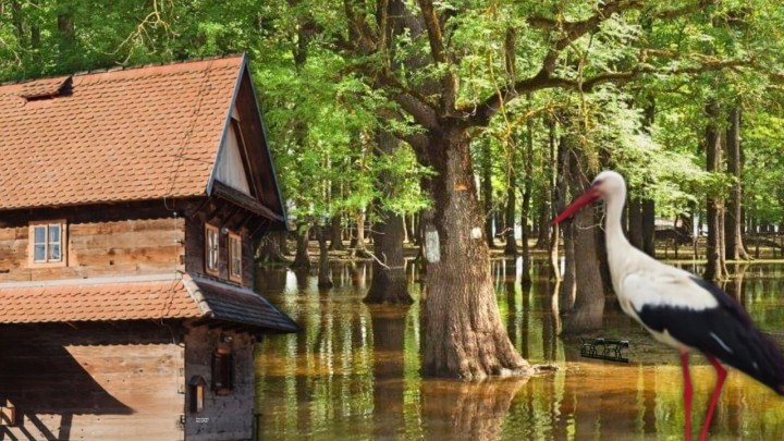 Bogatstvo prirode i ptica: Novi most preko kanala i uređenje promatračnica u najpoznatijoj močvari