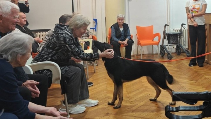 Druženje umirovljenika i pasa iz skloništa: 'Darovima su razveselili njuškice'